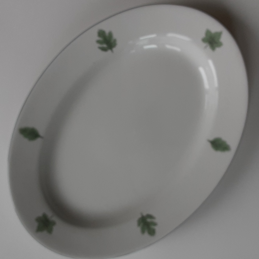 Stoneware Oval Serving Platter DAMON WOOD Green Leaves Blue Rim 12" x 8.75"